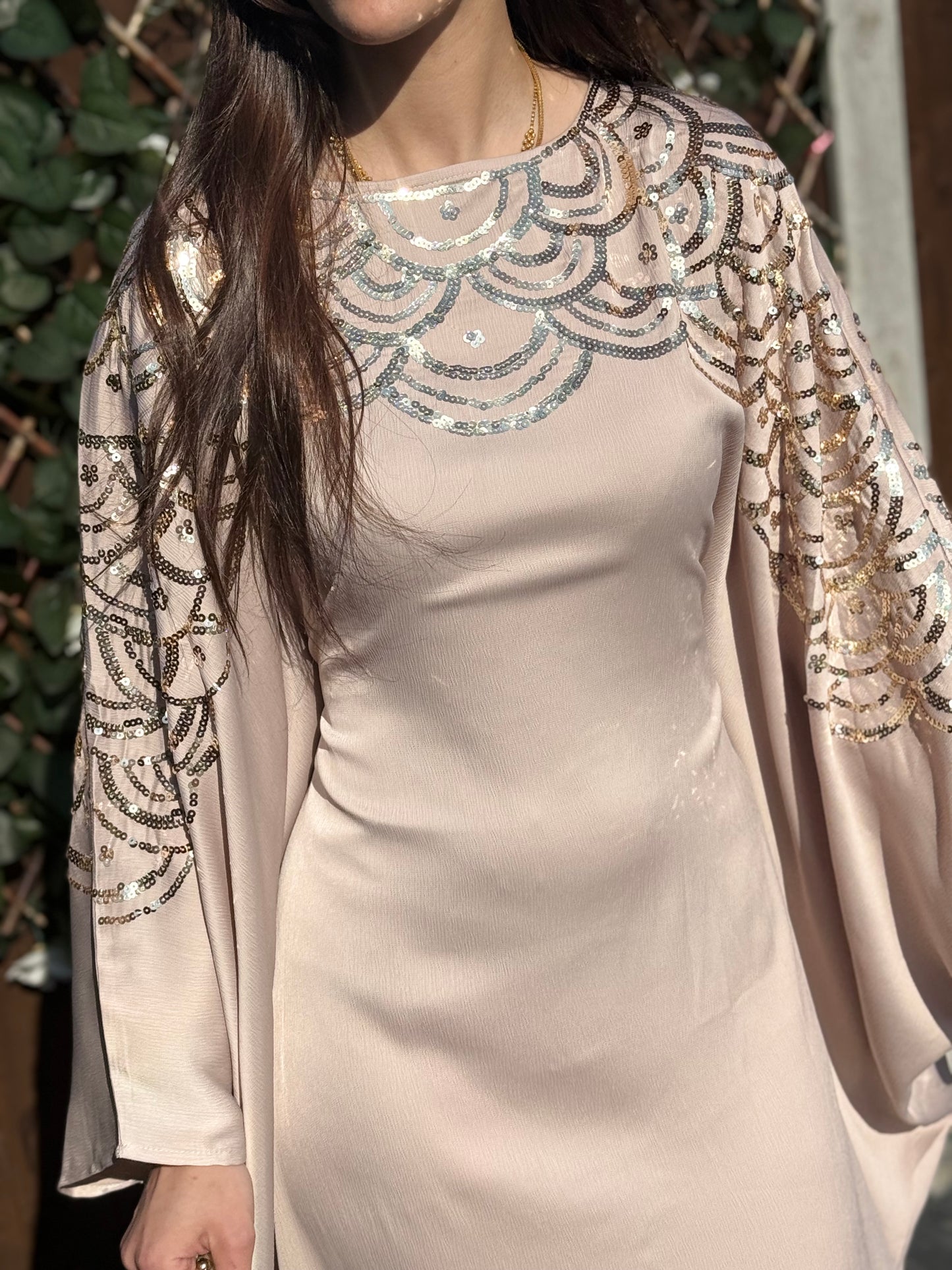 Chandni